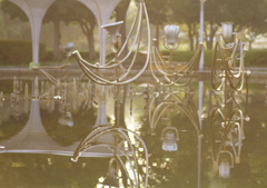 Symmetric World