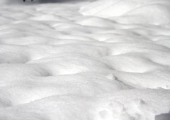 雪　深く