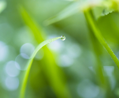 雨上がり