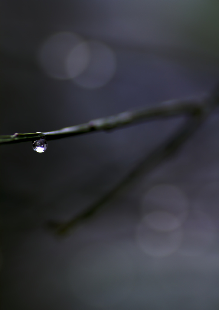 向こうの世界 III