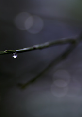 向こうの世界 III