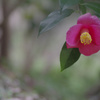 明
