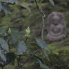 黙