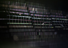 階率
