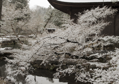 雪の永保寺 II