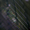 cristal wave I