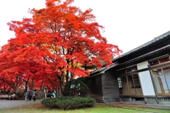 14年11月 中央公民館（岩手県盛岡市）