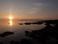 sunset