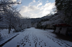 白の時間