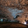 桜鉄道
