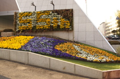 東京タワーの足元にある花