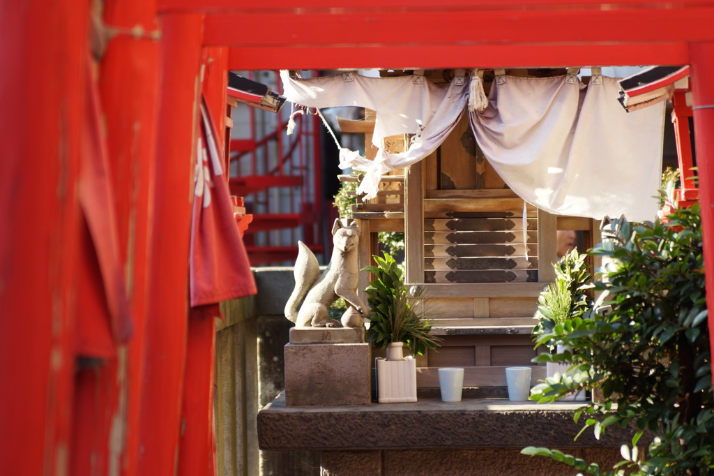 鳥居の先