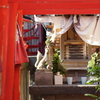 鳥居の先