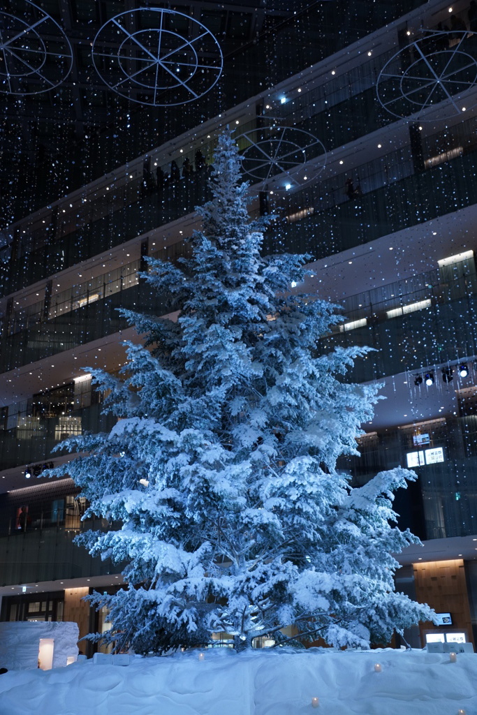 別角度のクリスマスツリー