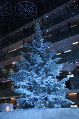 別角度のクリスマスツリー