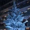 別角度のクリスマスツリー
