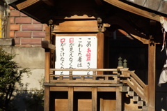 神社にて