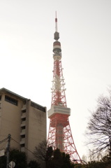 近寄って東京タワー