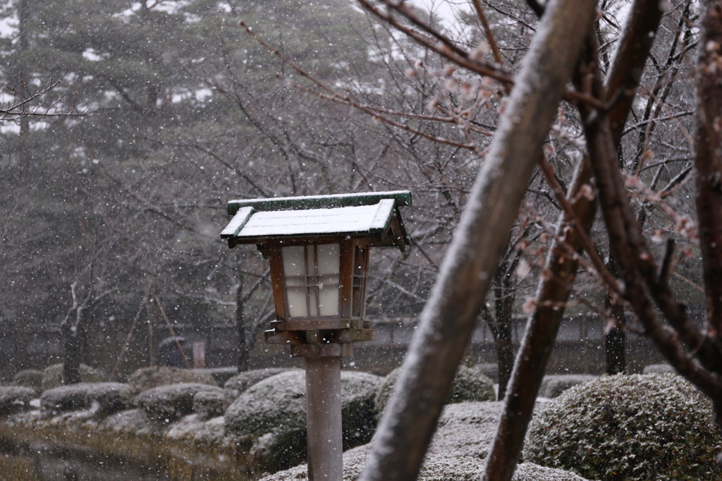 雪中の兼六園1