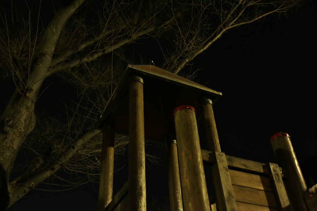 夜の公園