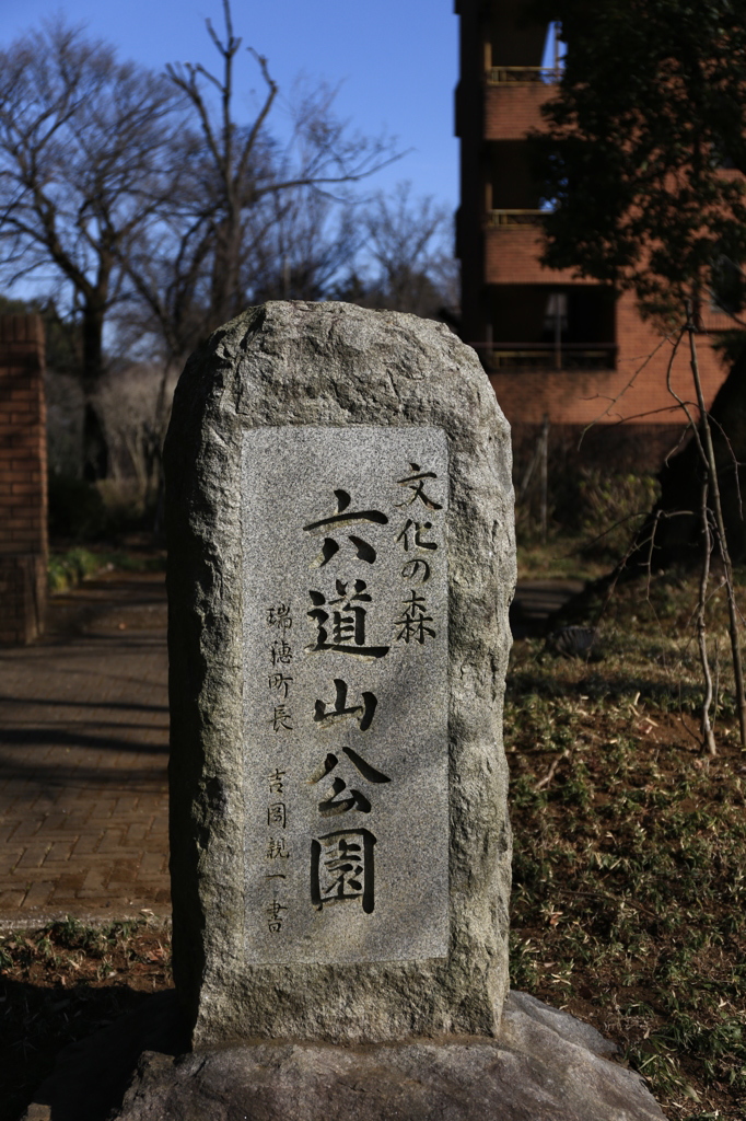 冬の里山～瑞穂町・六道山公園