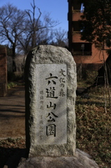 冬の里山～瑞穂町・六道山公園