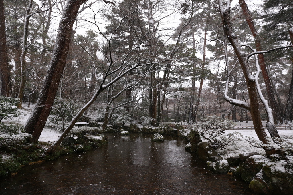 雪中の兼六園2