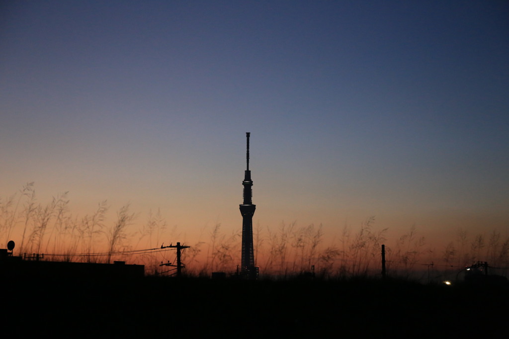 江戸川からの夕暮れ