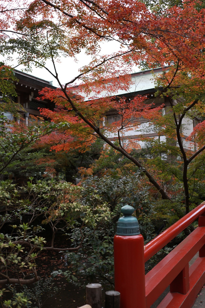 鎌倉にて。