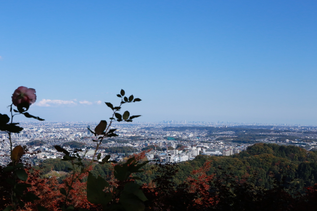 高尾山ぶらり散歩