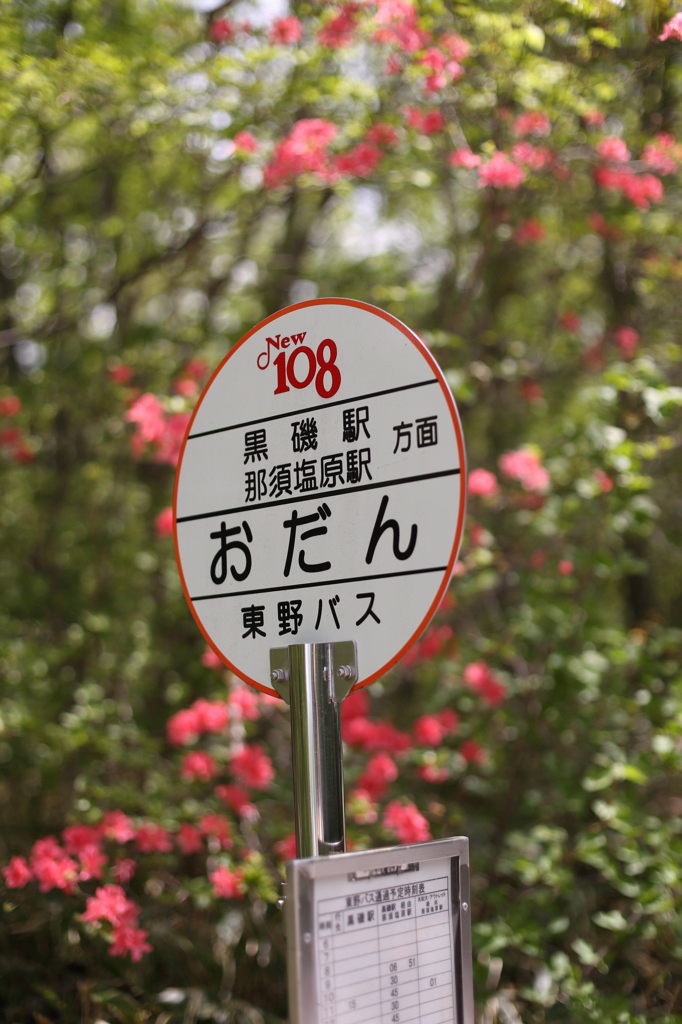那須・八幡ツツジ群落