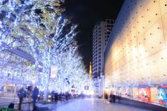 東京　六本木　けあき坂　イルミネーション　2013