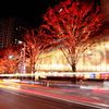 東京　六本木　けあき坂　イルミネーション　2013