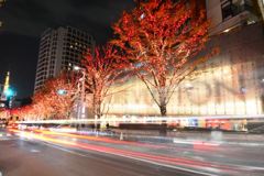 東京　六本木　けあき坂　イルミネーション　2013