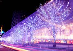 東京　六本木　けあき坂　イルミネーション　2013