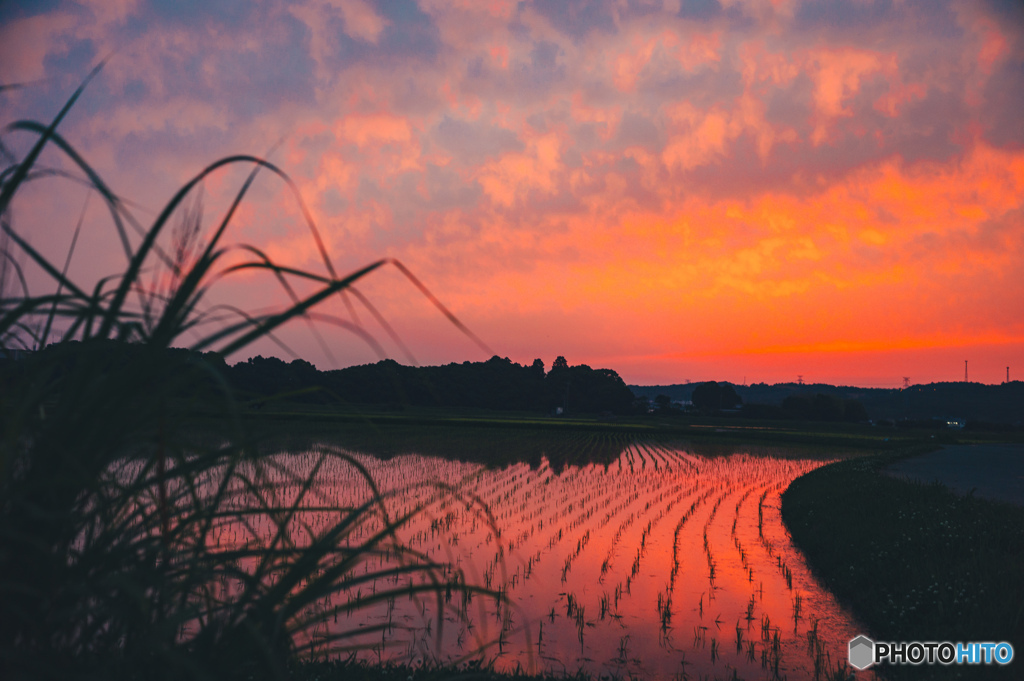 懐かしい夕焼け