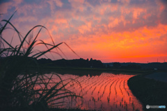 懐かしい夕焼け