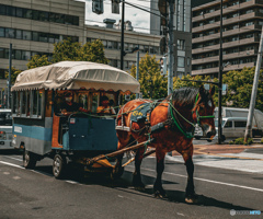 馬車