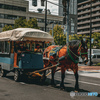 馬車