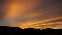 DSCF1439