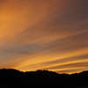 DSCF1439