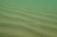 今日の海底