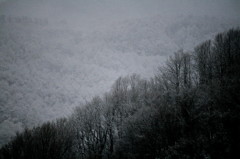 IMG_6427_1_1