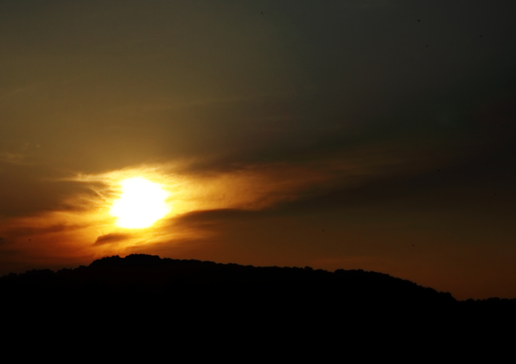 今日の夕日