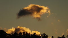DSCF1162