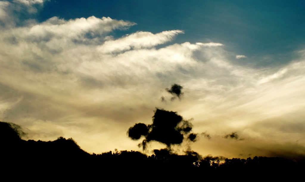 DSCF0215
