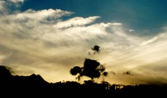 DSCF0215