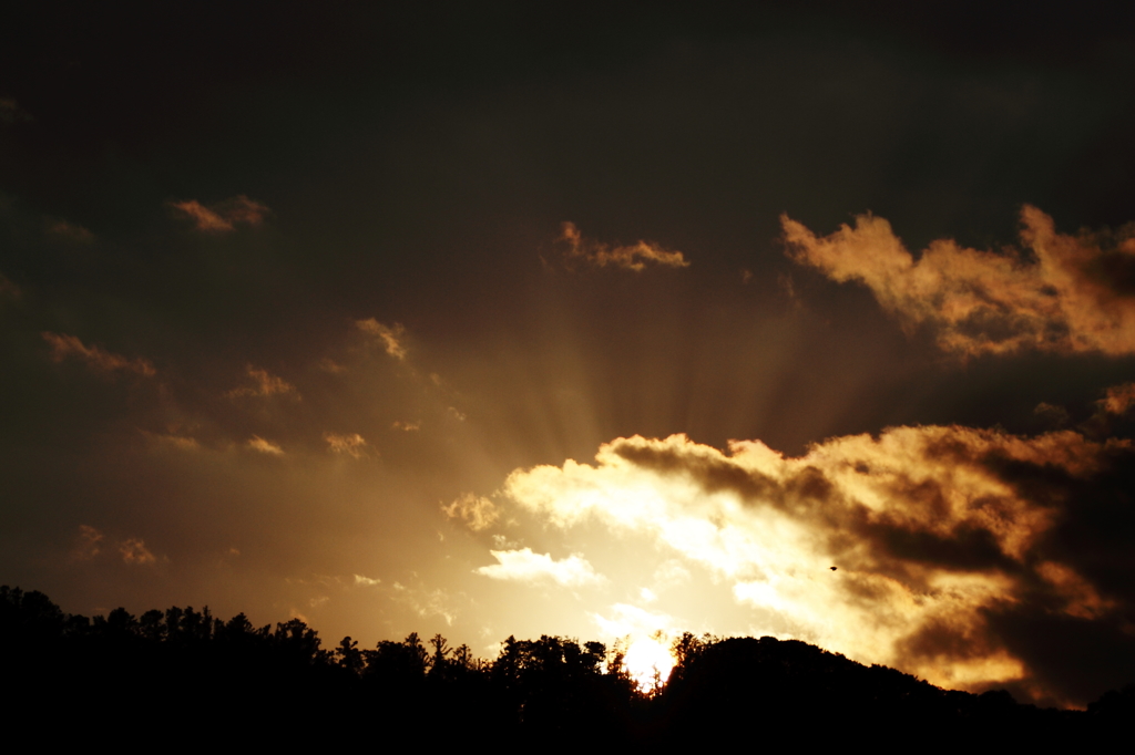 今日の夕日