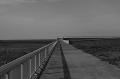 防波堤