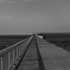防波堤